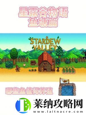 星露谷物語征集龍蝦任務攻略