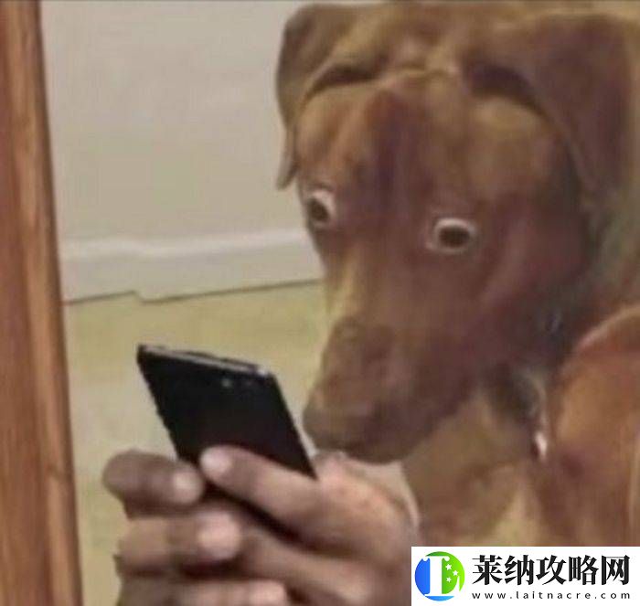 千萬粉網紅直播“虐狗”