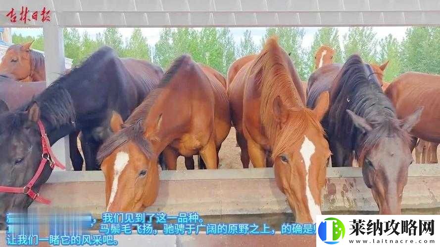 公司業務