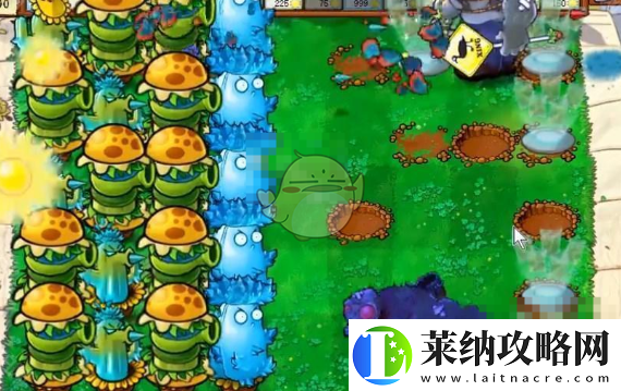 植物大戰僵尸雜交版挑戰模式第66關怎么過關通關攻略