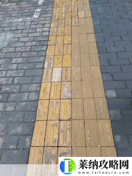 我國的盲道表面通常是什么形狀和凸起