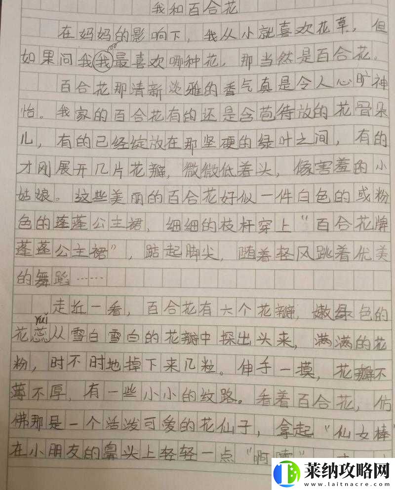 火山的女兒