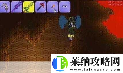 泰拉瑞亞花苞探秘