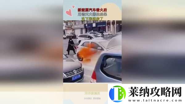 張雨欣人文藝術欣賞ppt內容