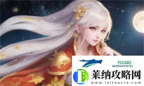 小鎮公交車大揭秘！YINGDAN小鎮公交車尺寸解析