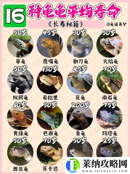 動(dòng)物江湖鍥子英雄傳新手攻略