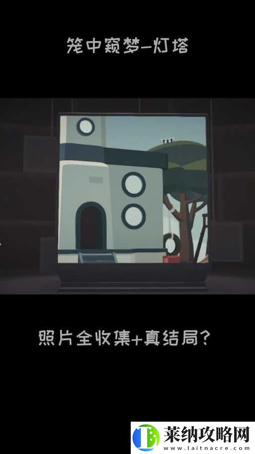 籠中窺夢