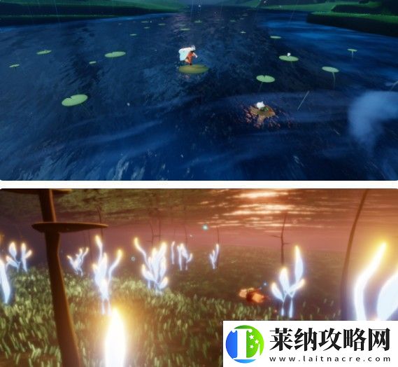 花憩節(jié)活動時間介紹2024