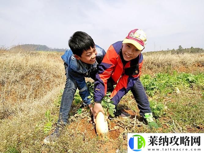 “拔蘿卜雙人”友熱議