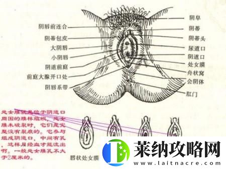 “破解”青春密碼