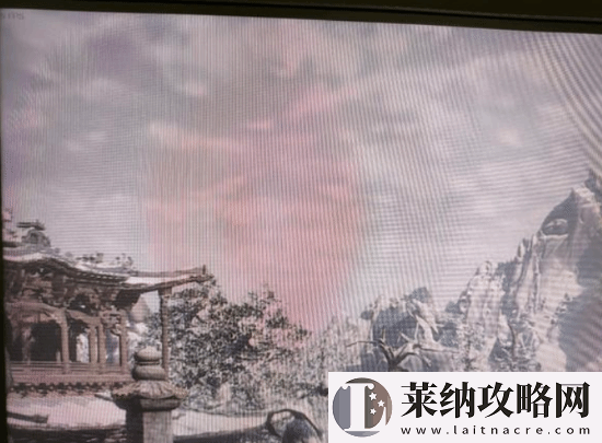 不是哥們