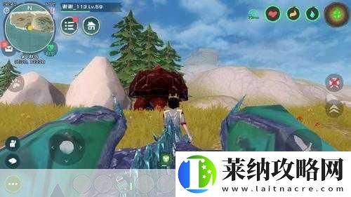 創造與魔法熔巖龜捕捉等級揭秘