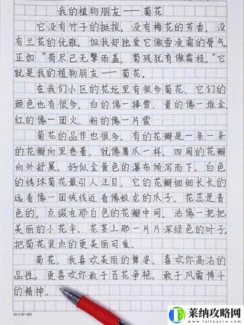 六年級菊花能塞下幾支筆