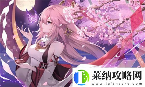 高清盛宴