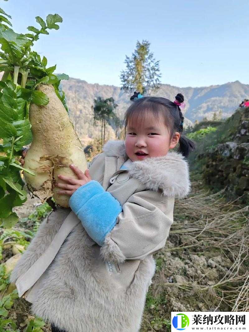 拔蘿卜痛又降黃