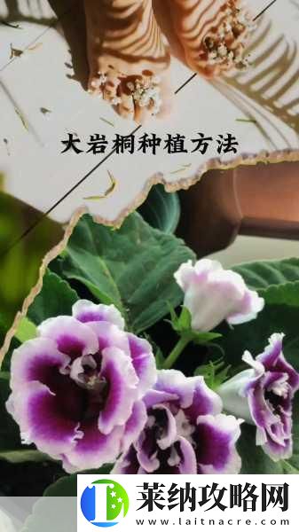 扣水的正確方法視頻教程