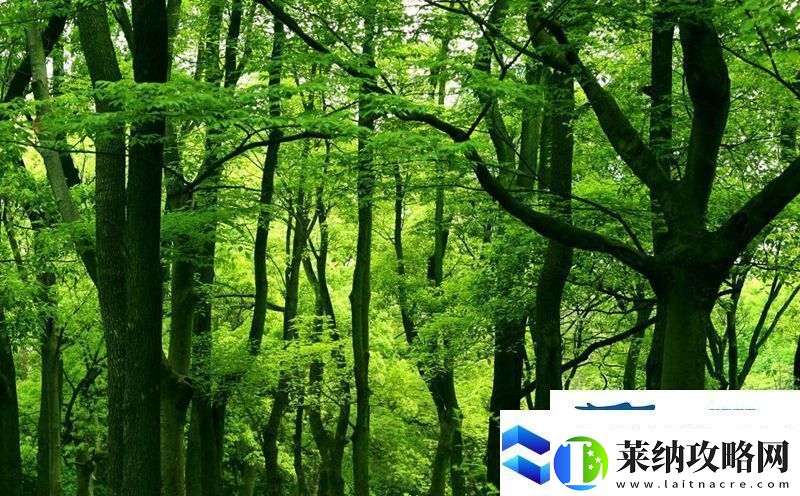 成語宮廷記第383關(guān)答案