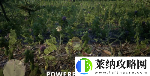 荒野大鏢客2中仙履蘭究竟藏身何處