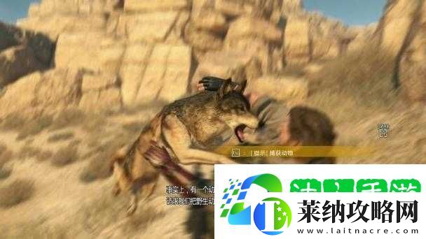 合金裝備5幻痛第7關全S挑戰如何完美通關