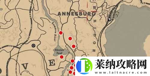 荒野大鏢客2小黃花杓蘭究竟藏身何處