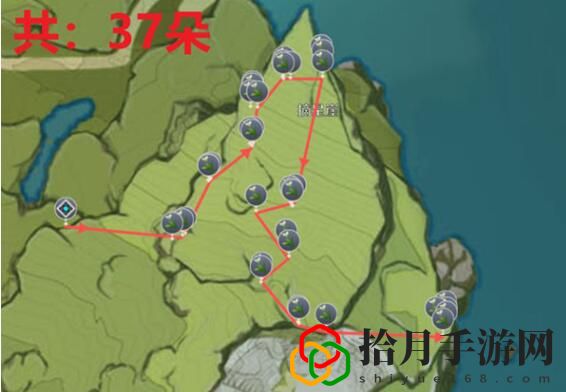塞西莉亞花采集路線 副本挑戰評分機制與高分技巧