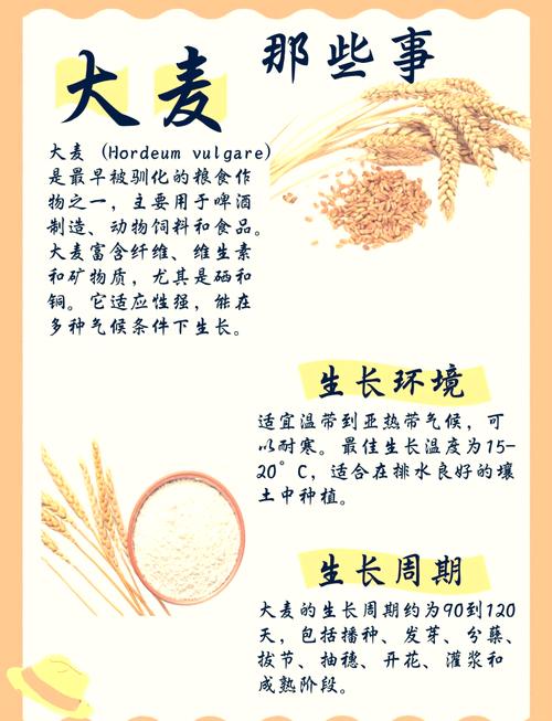麥子互換背后的意義