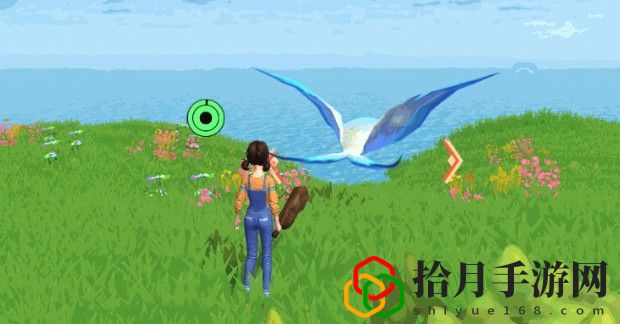 創造與魔法天空果實怎么獲得