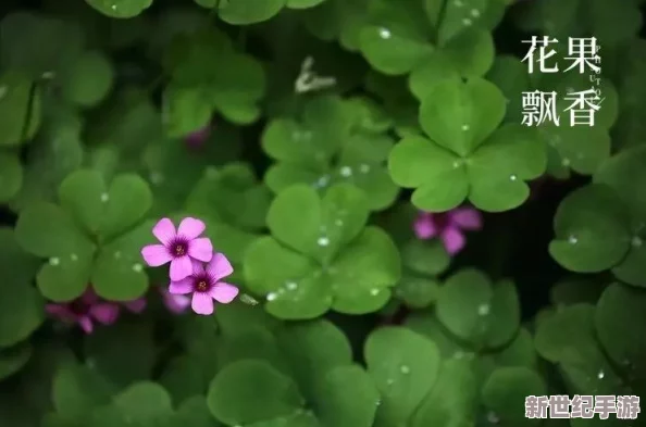 亞洲國產cao