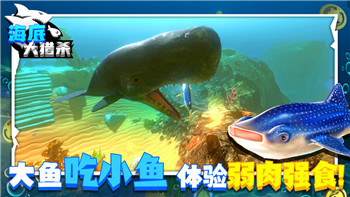 《放克貓咪》玩法解析：探索迷人貓咪世界的樂趣與挑戰！