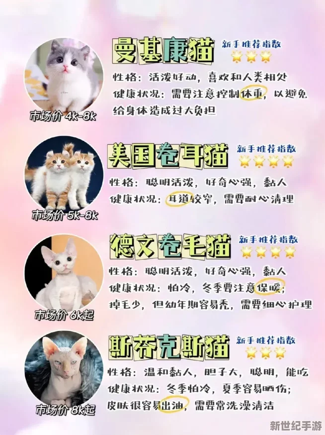 貓咪mav最新地域網(wǎng)名怎么取