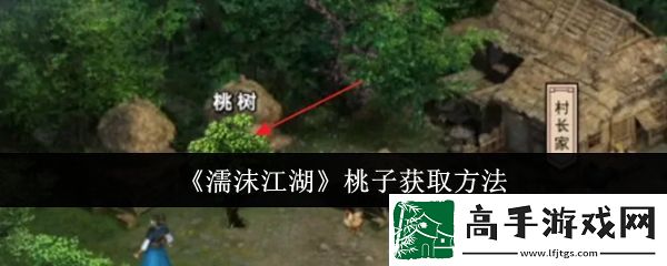 【玩家社區】濡沫江湖怎么獲得桃子