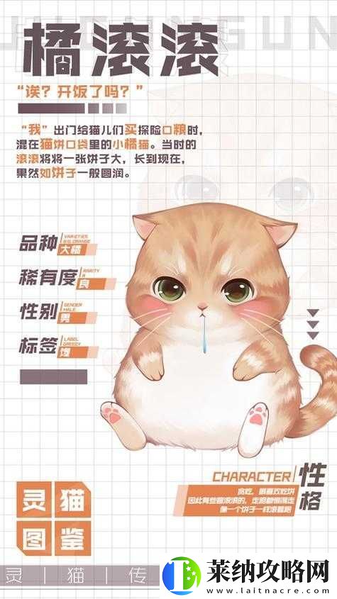 靈貓傳橘苗苗究竟如何