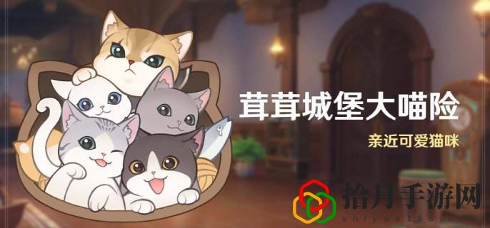 茸茸城堡大喵險什么時候 助你快速進階
