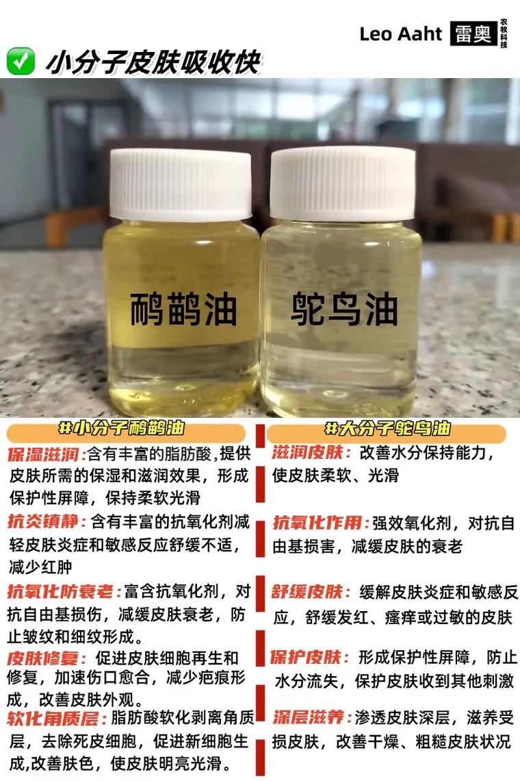 扌桑辶畐和畐畬的區(qū)別