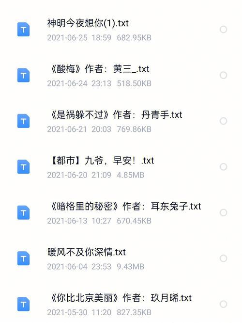 t大校花沉浮錄續(xù)集txt