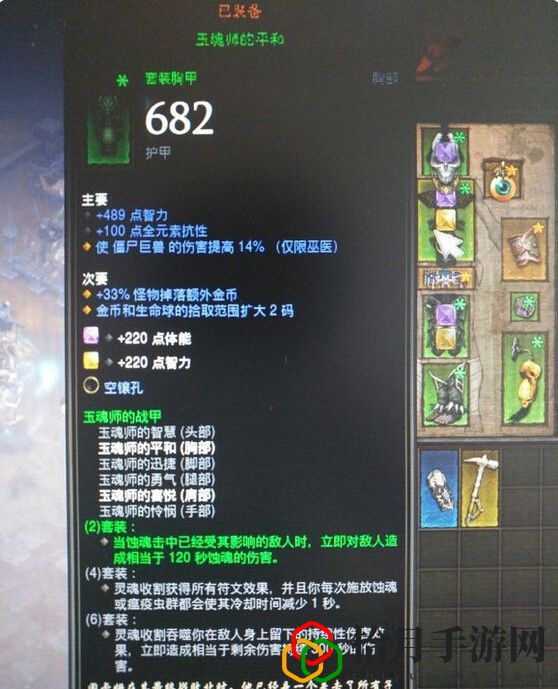 暗黑三 寵物流(暗黑3巫醫寵物流技能搭配與裝備)