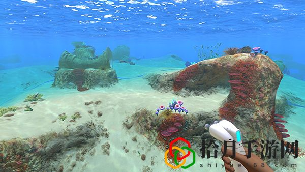 深海迷航安全區坐標(美麗水世界安全區海底世界地圖介紹)