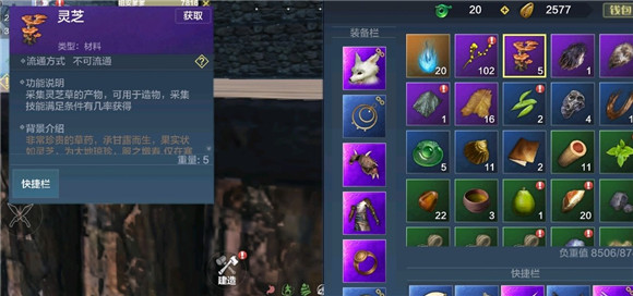 妄想山海靈芝有什么用
