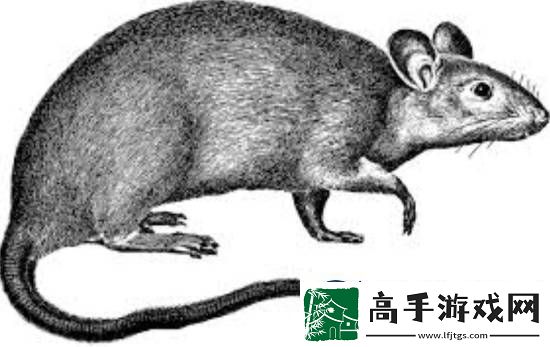 動(dòng)保組織PETA抵制恐怖片諾斯費(fèi)拉圖