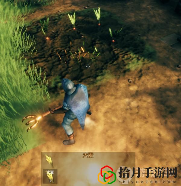 valheim靈魂神殿在哪種田