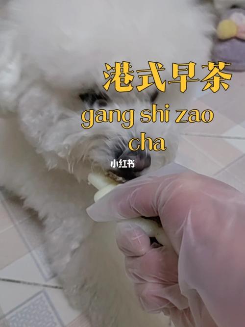 狗與人膠配方20分鐘