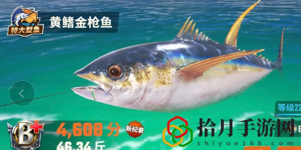 全圖鑒一覽 競技場排名提升的秘訣