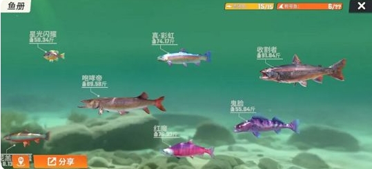 全圖鑒一覽 競技場排名提升的秘訣