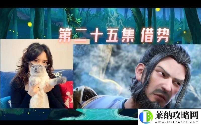 XXNX全解析
