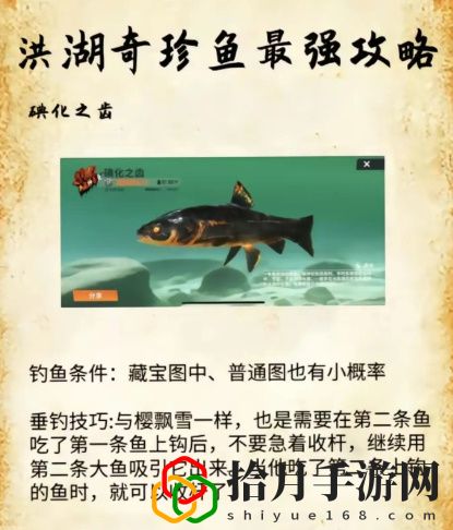 洪湖最后兩條魚位置和垂釣技巧分享 共同探索游戲世界