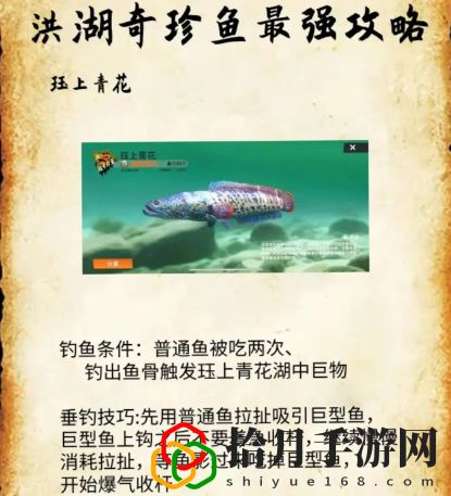 洪湖最后兩條魚位置和垂釣技巧分享 共同探索游戲世界