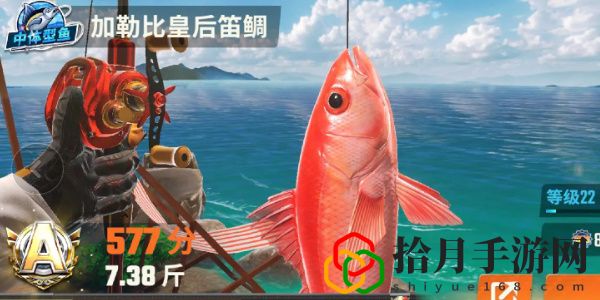 全圖鑒一覽 競技場排名提升的秘訣