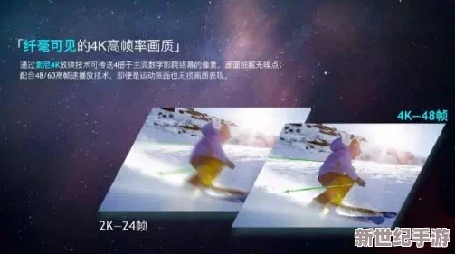 探索新視界