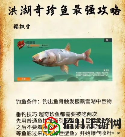 洪湖最后兩條魚位置和垂釣技巧分享 共同探索游戲世界