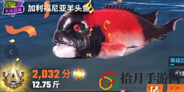 全圖鑒一覽 競技場排名提升的秘訣